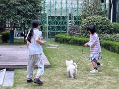 -一尺花园(安和花园店)