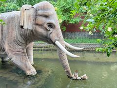 -北京野生动物园