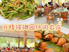 -兴隆槟榔园休闲农庄
