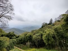 -莫干山风景区
