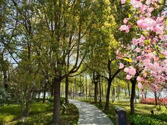 -南通濠河风景名胜区