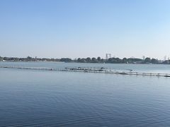 -上海月湖雕塑公园