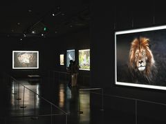 -罗红摄影艺术馆