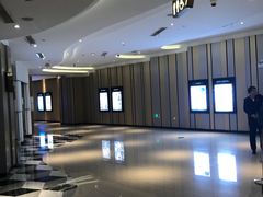 -百丽宫影城(CGS激光苏宁广场店)