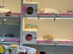 -lincat·猫舍(广州店)