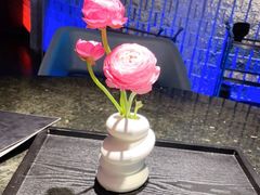 -王家渡火锅店(棕榈泉店)