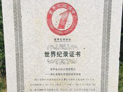 -千年银杏谷文化旅游区