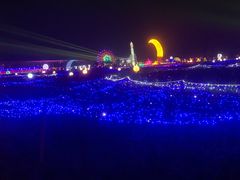 -枫林花海