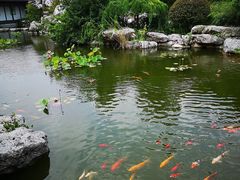 -梅园