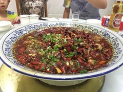 璧山兔-西木兔(大圆祥店)