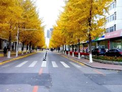 -东北大学(南湖校区)