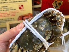 -黄记大闸蟹专卖店·活蟹·醉蟹