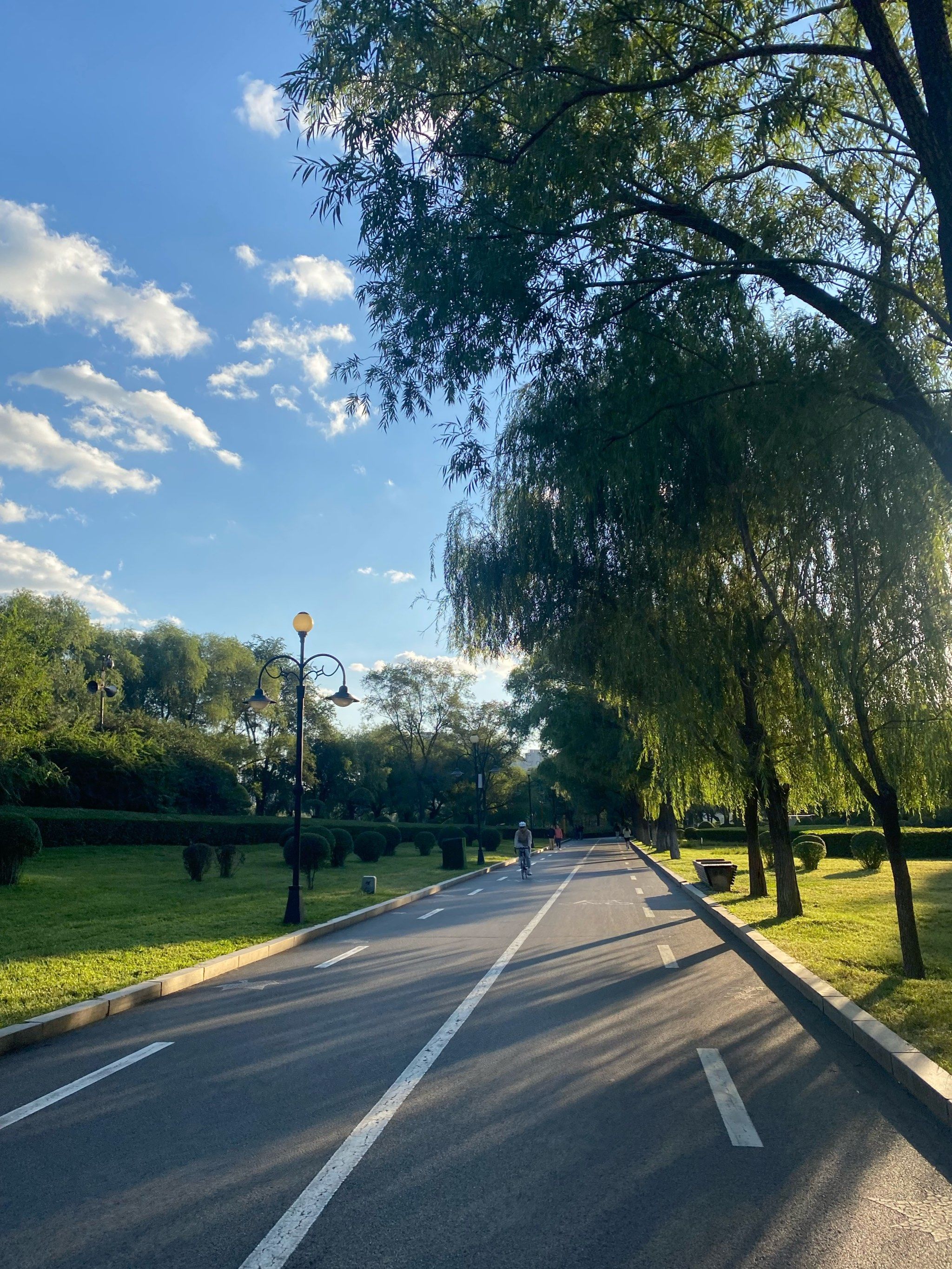 清晨公园跑步时光