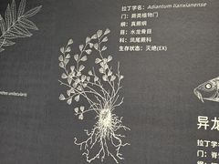 -中国湿地博物馆