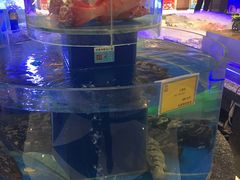 -新海渔港·胶东海鲜家常菜·家宴(奥体中心店)