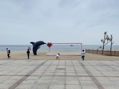 -玫瑰海岸文化旅游度假区