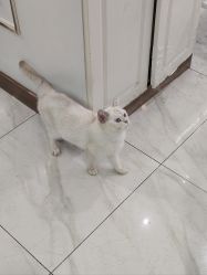 -镁连社·美联社