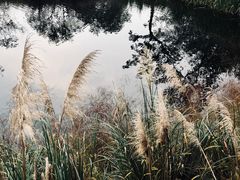-木守西溪溪隐餐厅