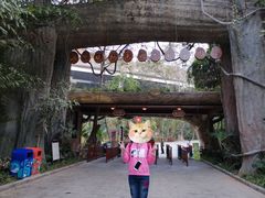 -西双版纳原始森林公园