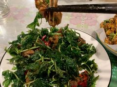 -蜗牛小馆醉乡民谣云南菜(惠新西里店)