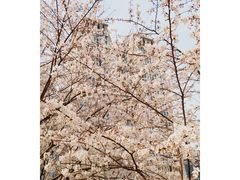 -复旦大学光华楼