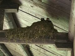 -东钱湖阳光沙滩
