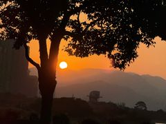-龙江公园