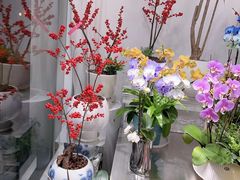 -淘花源花艺鲜花店 开业花篮 绿植(南部商务区店)