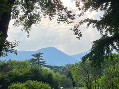 -国家植物园南园