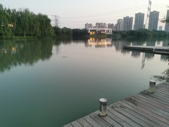 -九里河湿地公园