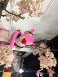 -Ly形象设计