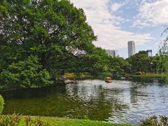 -晓港公园
