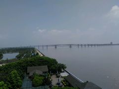 -大湾区中央湿地公园