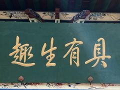 -迎泽公园