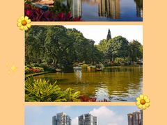 -晓港公园