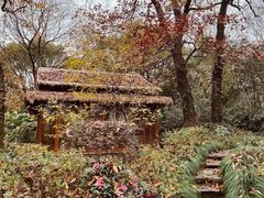 -解香楼(八盘岭路店)