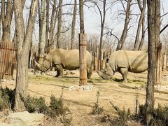 -北京野生动物园