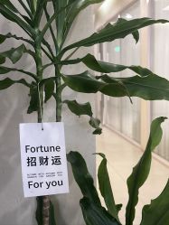 -乐室LE SPACE·美学疗愈空间