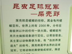 -上海昆虫博物馆