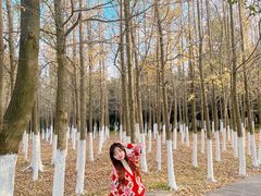 -艾溪湖湿地公园