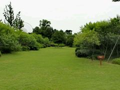 -金鸡湖桃花岛