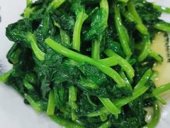 清炒豌豆尖-力力豆花庄(广渠门店)