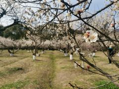 -白马涧龙池景区