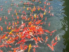 -永州阳明山国家森林公园