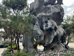 -惠州西湖丰渚园