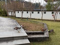 -广州神农草堂中医药博物馆