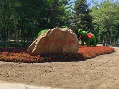 -长白岛森林公园