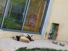 -西安秦岭野生动物园