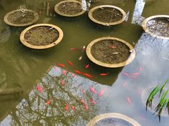 景观位-聚缘堂·海鲜私房菜(松岭路店)