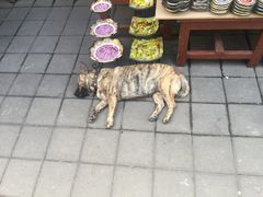 -乌布德传统市场